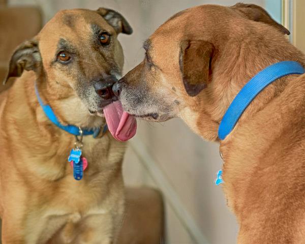 /Images/uploads/Congregation Beth Emeth/bethemeth/entries/17559thumb.jpg